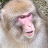 Profilbild von graftakwijf