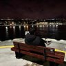 emrullah profil fotoğrafı