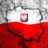 Świadomy Polak's profile picture