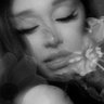 tania ꕤ's profile picture