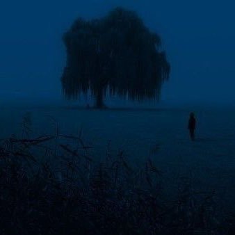 hiuldm's profile picture