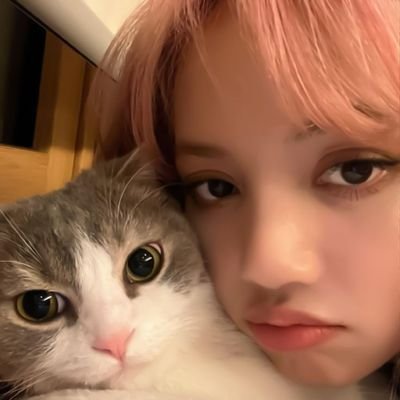 lisarecife's profile picture