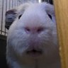 Yump and Glorp's profile picture