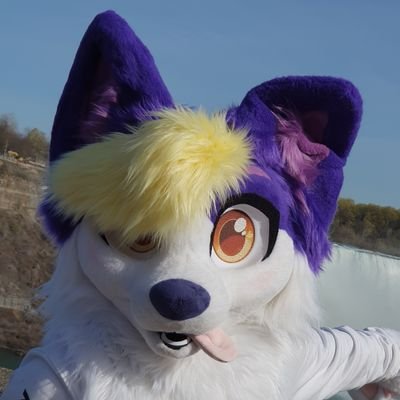 Drako 🇫🇮 🔜 Furway, Awoostria, EF's profile picture