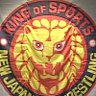 The HAMMER OF LIONS 的头像