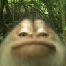 lou profil fotoğrafı