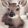 Profilbild von angel
