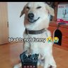 gg Ftc profil fotoğrafı