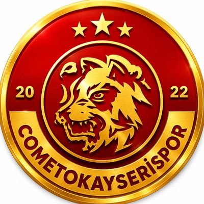 cometokayserispor's profile picture
