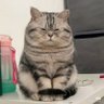 What are you up to?'s profile picture