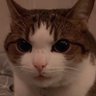 Anderdingus's profile picture
