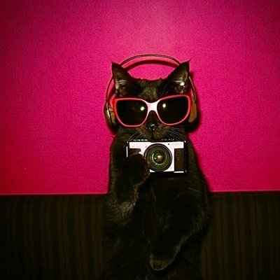 捕光者's profile picture