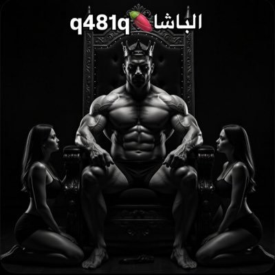 q481q's profile picture