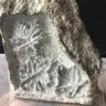gj 的头像