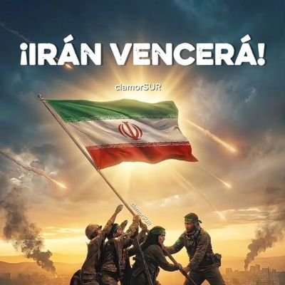 avacostas's profile picture