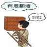 Profilbild von lao wang-网管老王