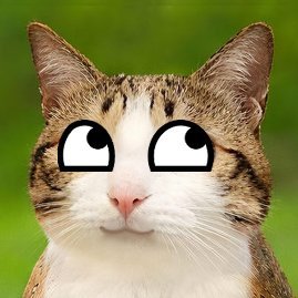 evily's profile picture