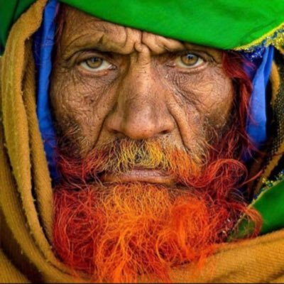 Diplomalı Hamal's profile picture