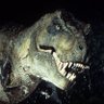 Tiranossauro Sex's profile picture