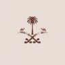 ABRAR🇸🇦 的头像