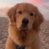 Perrín Perrón's profile picture
