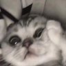 Profilbild von 𝑝𝑢𝑟𝑔𝑒 ;