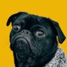 Profilbild von Samuel Obinna N
