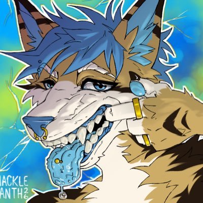pawhuff's profile picture
