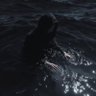 Dread X's profile picture