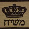 🇮🇱 פטרי יוטי's profile picture