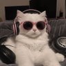 Profilbild von NaNoOo89🇰🇼😎🖤
