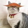 TF B's profile picture