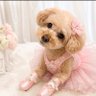 ミルキー♥️✨iLYs✨♥️ profil fotoğrafı