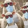 Xav M profil fotoğrafı