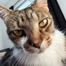 Profilbild von Parker
