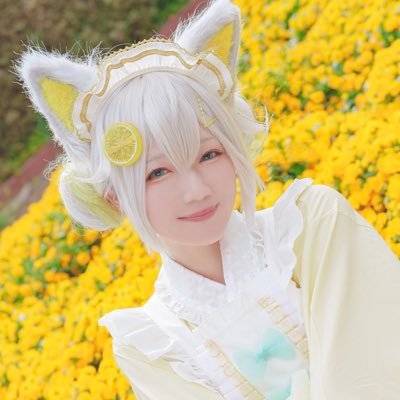 マリルリ's profile picture