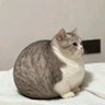 Фото профиля 💞VoRa.BB🫦