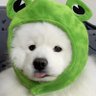 ซอซอ profil fotoğrafı