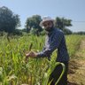 Profilbild von Dr. Badal Singh