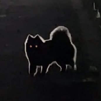 SANDsawako's profile picture
