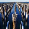 Camberwell's profile picture