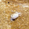 Profilbild von margate beachcomber