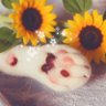 まめ太【ステへ:tomoru0307】's profile picture