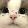 Profilbild von xtele