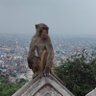 श्री profil fotoğrafı