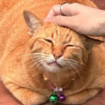 bamboo🎀(มุ้ตุ้)♡ྀི's profile picture