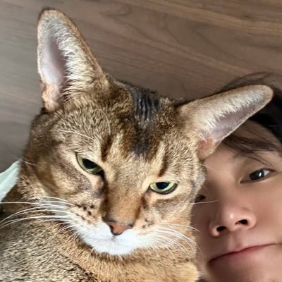 hateis0nme's profile picture