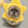 เบบี้จะบู้บี้ยู profil fotoğrafı