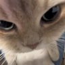 ลูน่ายู🧃's profile picture
