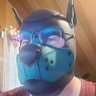 PupAceAngelous 🐶's profile picture